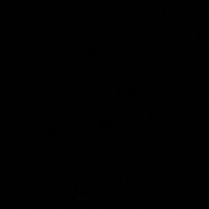 Meet your Posher, Bashar